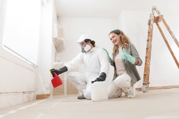 Dehumidification Services in Mcgraw, NY