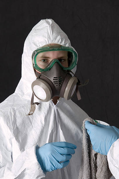 Best Black Mold Removal  in Mcgraw, NY